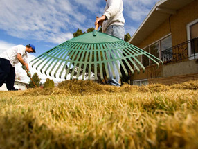 Raking at Roosevelt - Volunteers Needed