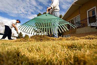 Leaf pick up in Durango, CO by Lupine Lawn Care.