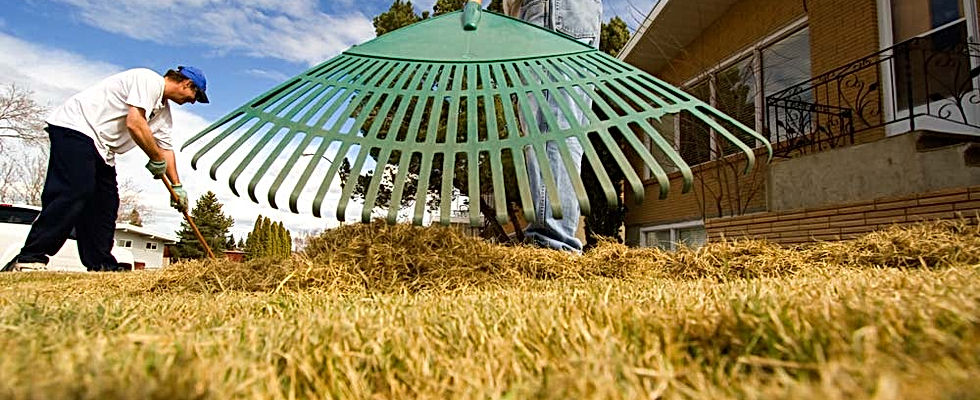 Raking Grass