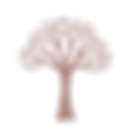 Tree of Life.png