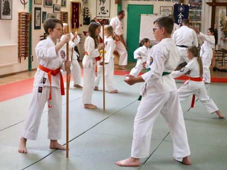 Hanbo-Jutsu für Kids - Die Kunst der wirbelnden Stöcke für Kids