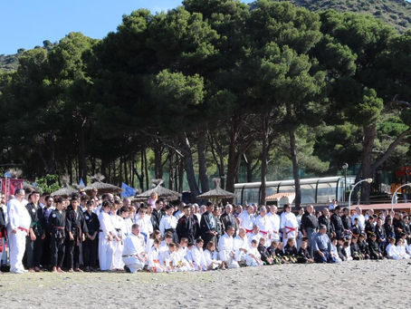 Emder unterrichtete in Spanien