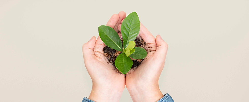 hands-cupping-plant-save-environment-campaign copy.jpg