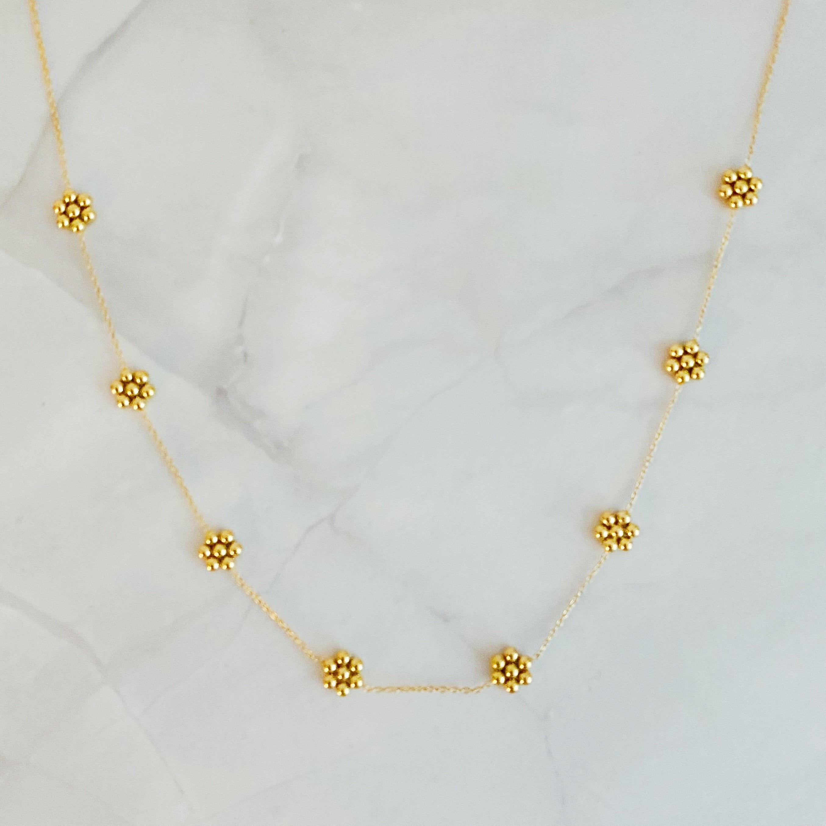 Dainty Golden