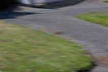IMG_8462.jpg