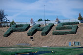 IMG_6984_edited.jpg