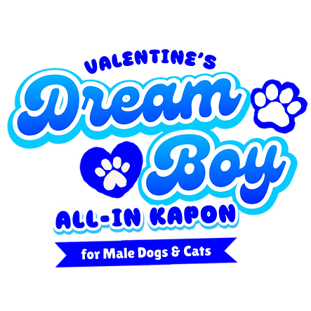 Dream Boy - All In Kapon.png