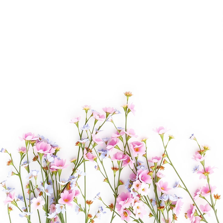 white background with small pink and blue flowers_edited.jpg