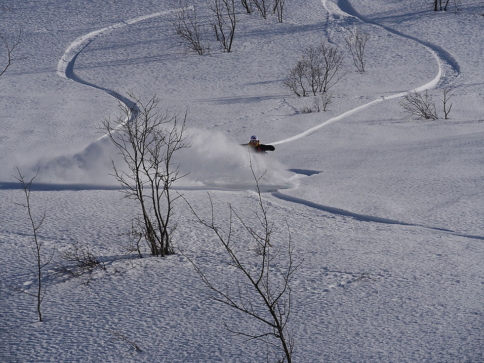 Miniaturbild: Splitboard Norwegen Senja