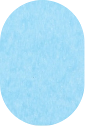 patriot blue.png
