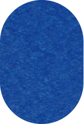 patriot blue.png
