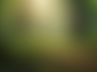 Explore the Best Nature Tours for an Unforgettable Journey