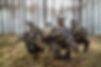 AdobeStock_409302110.jpeg