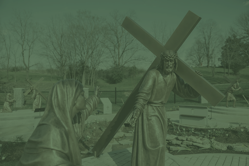 MaysvilleHighlights-82-green-muted.jpg