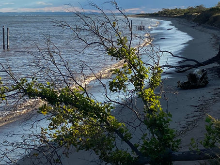 My Endless Pursuit of Discipline