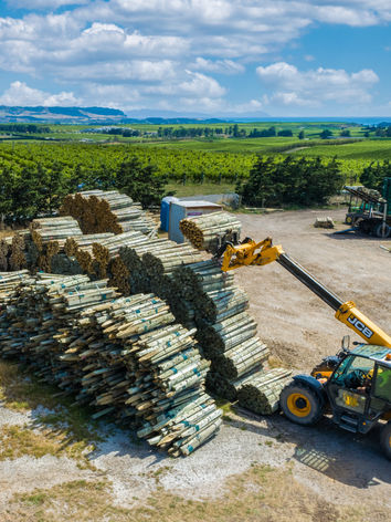 Aerial cinematography for NZ businesses by Choice Studios