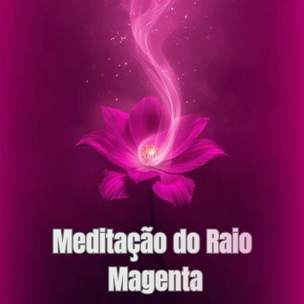 FLOR ROSA RAIO MAGENTA