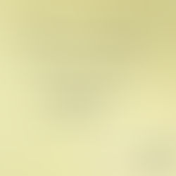 Não seja escravo de suas vontades e vícios