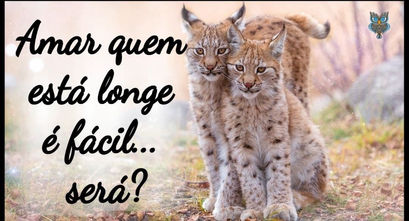 Amar quem está longe é fácil... será?