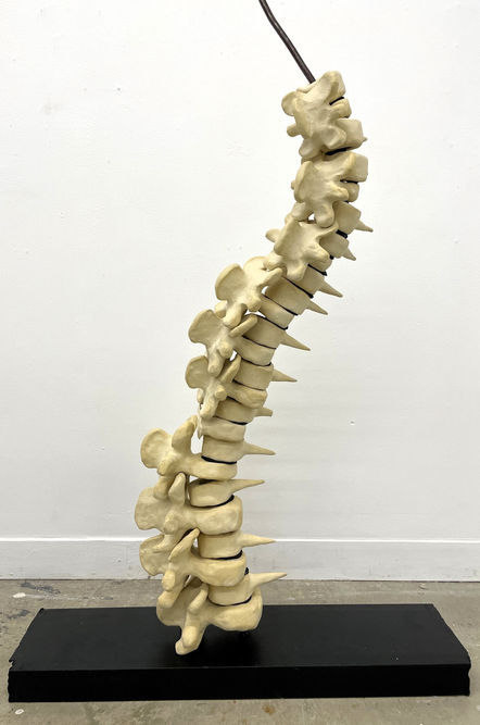 Spinal 
