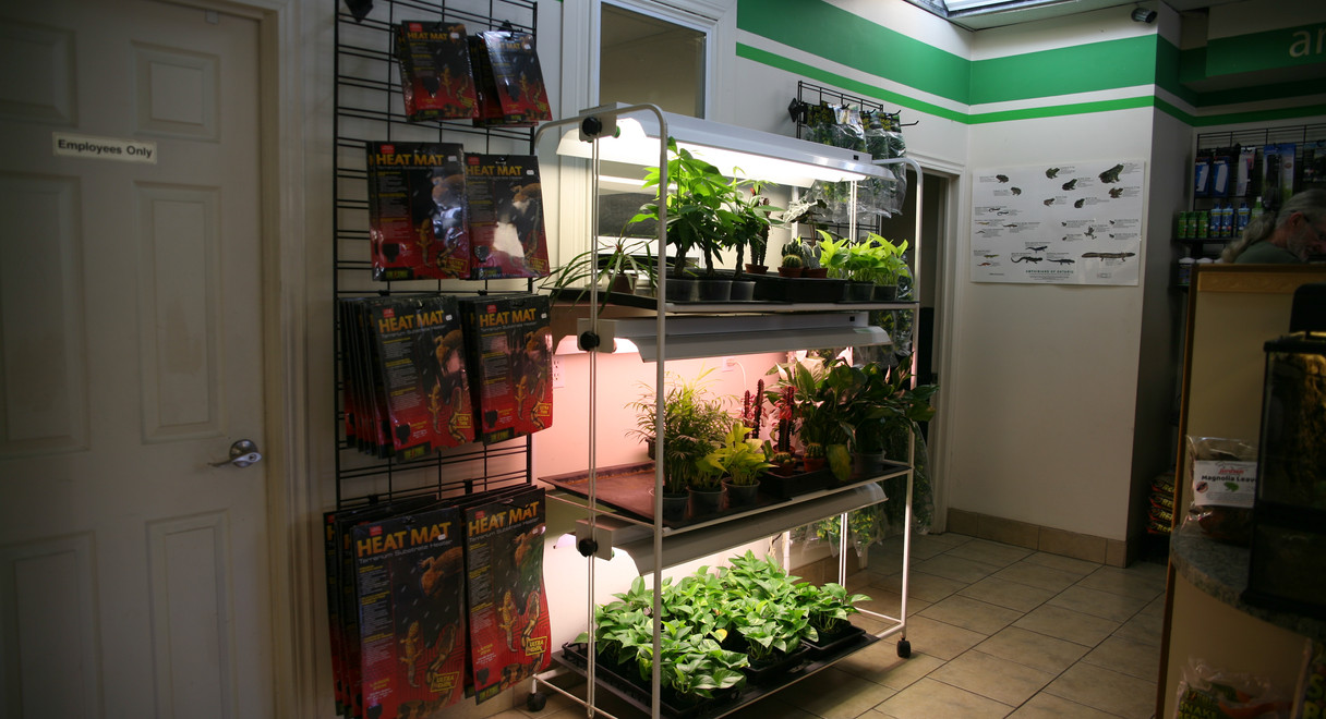 GALLERY REPTILE STORE