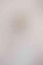 READING BRIDAL DISTRICT, TRUNK SHOW, WILLOW & WINTER BRIDAL, BOCHIC BRIDAL BOUTIQUE