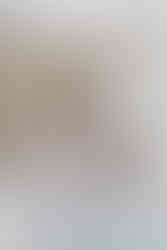 READING BRIDAL DISTRICT, TRUNK SHOW, WILLOW & WINTER BRIDAL, BOCHIC BRIDAL BOUTIQUE