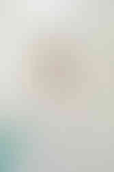 READING BRIDAL DISTRICT, TRUNK SHOW, WILLOW & WINTER BRIDAL, BOCHIC BRIDAL BOUTIQUE