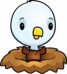 Little Eagle in a Nest