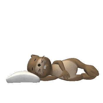 groundhog_sleep_hg_clr.gif