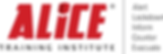 ALICE Training Institute