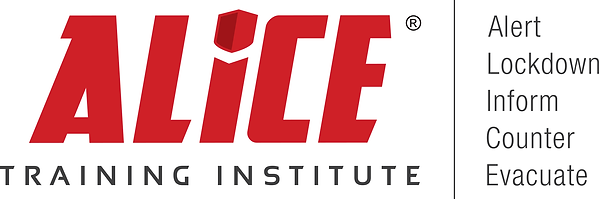 ALICE Training Institute