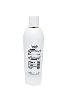 Ganozhi__Shampoo_2.png