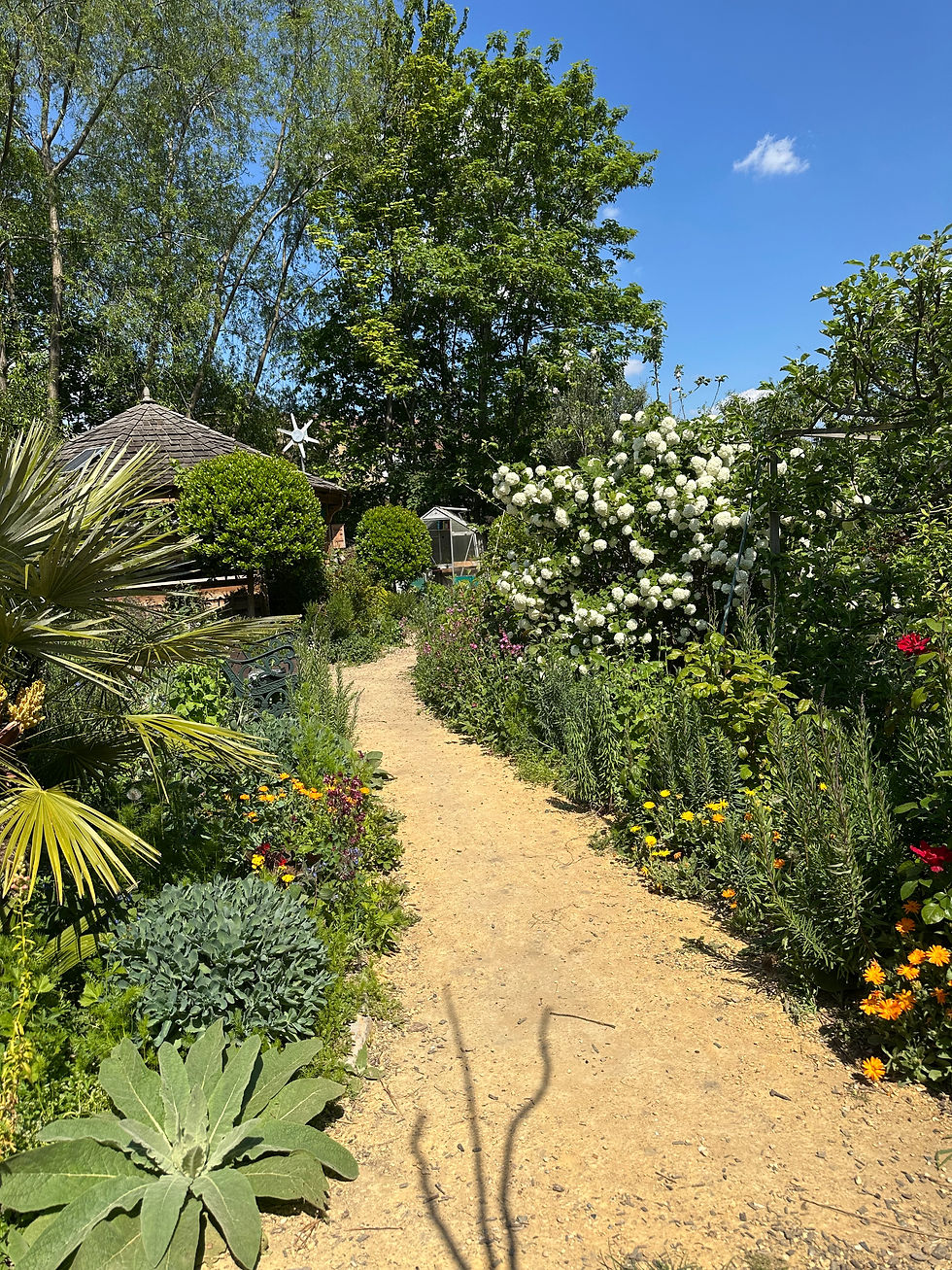 Open Gardens Festival - we are open Saturday 6 June, 2pm-6pm
