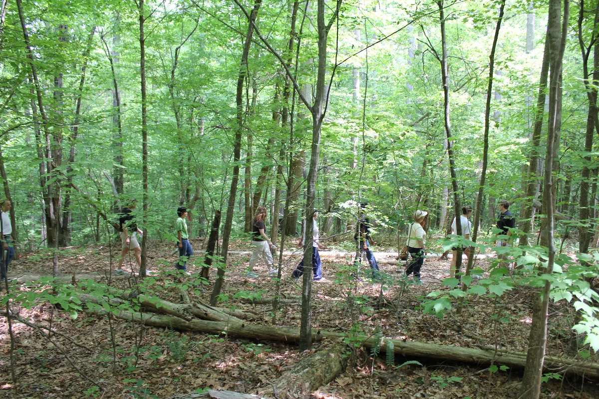Group of people walking on trail through woods near RTP