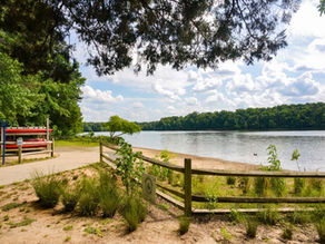 The waters edge at Bond Park in Cary, NC.