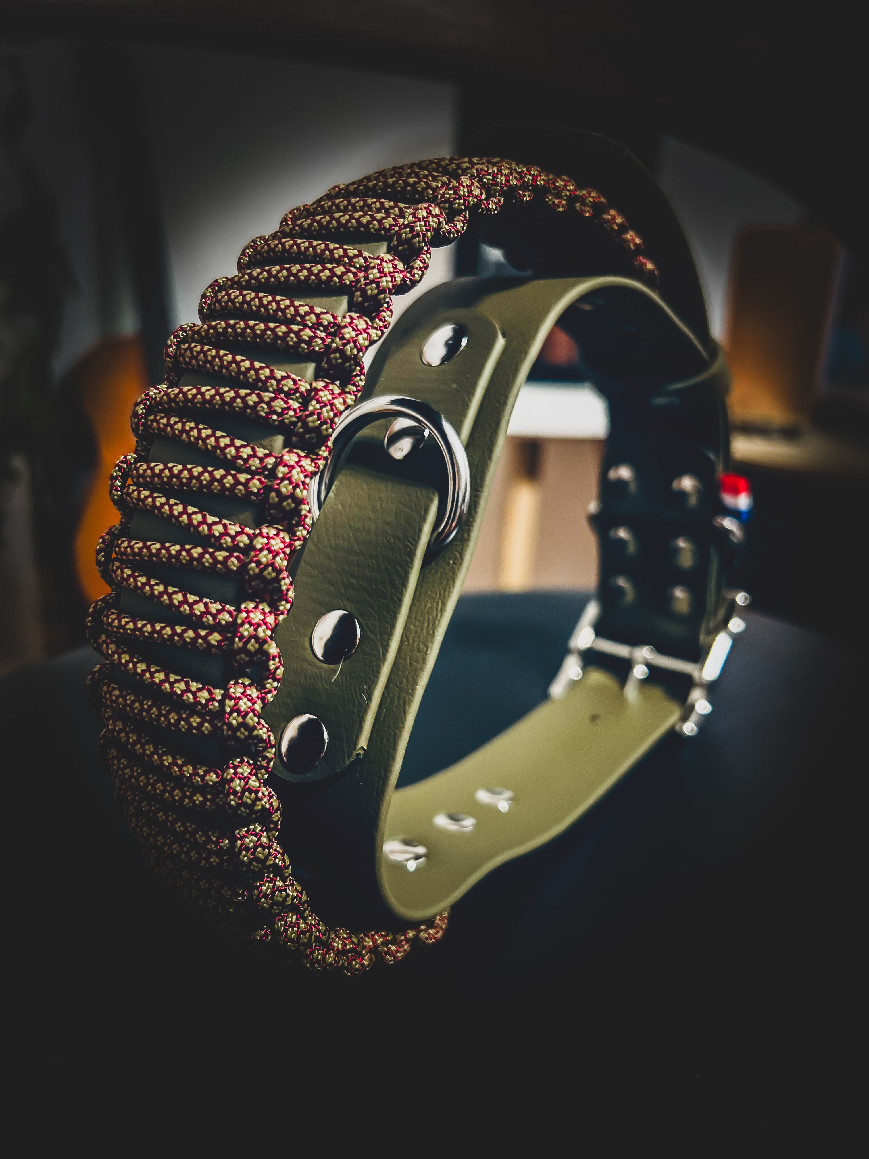 Collier Biothane Large AVEC POIGNEE PARACORD