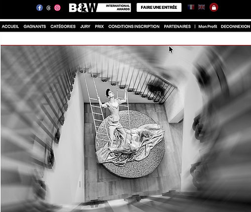 Menzione d'Onore Black and White International Photo Awards 2026 - Vertigo and escape di Massimo Cicconi