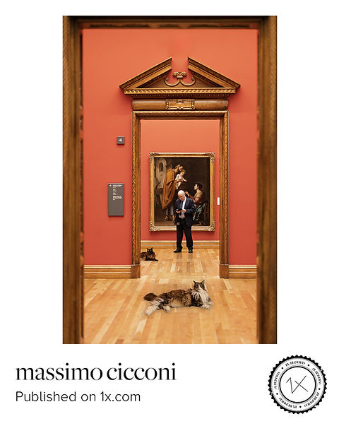 Massimo Cicconi - Unexpected dialogues- Published su 1X.com