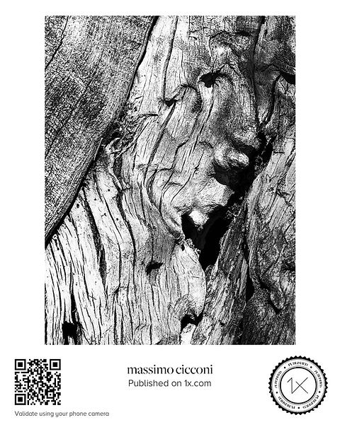 Massimo Cicconi - Silent Echoes - Published su 1X.com