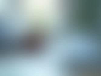 Stay Ahead with Regulatory Compliance Updates