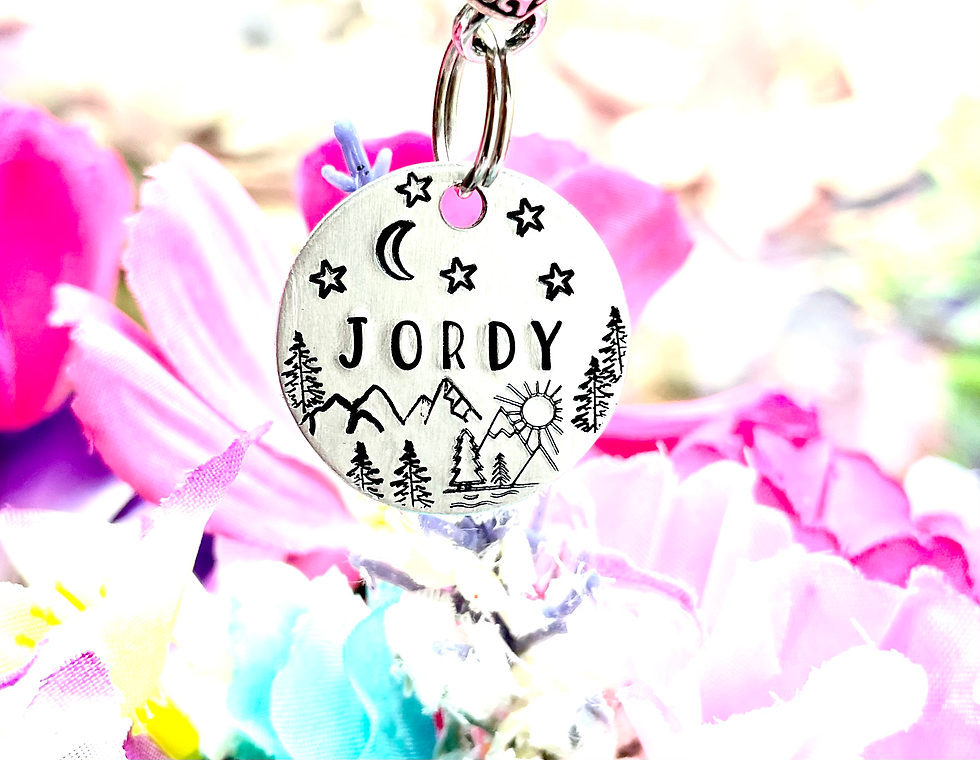 Thumbnail: Dog ID- Horse ID Name Tag-Horse ID Tag, Horse Bridle Tag, Hand Stamped Horse Tag