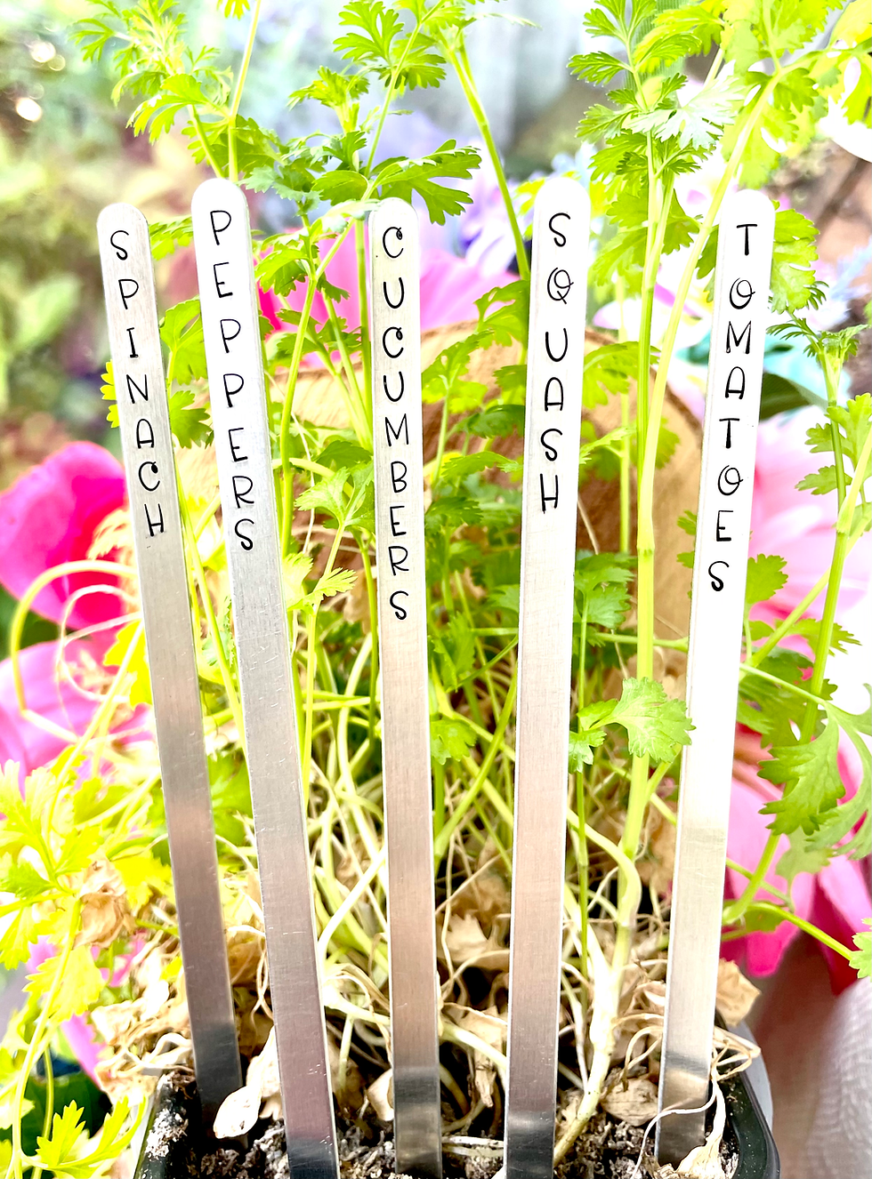 Thumbnail: Plant Stakes- Garden Stakes - Garden Accessories - Gardener Gifts - Plant Mom