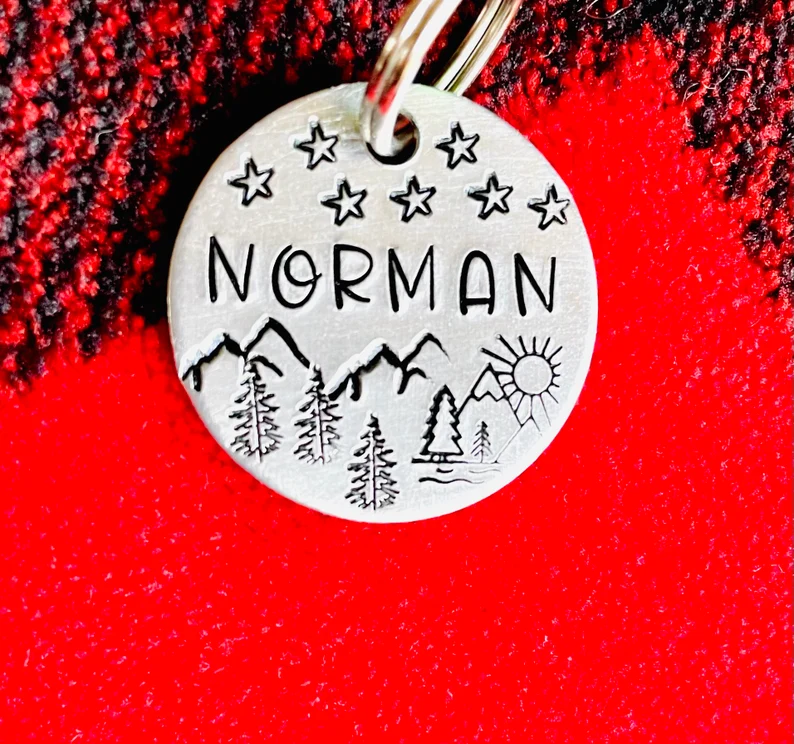 Thumbnail: Dog ID- Horse ID Name Tag-Horse ID Tag, Horse Bridle Tag, Hand Stamped Horse Tag