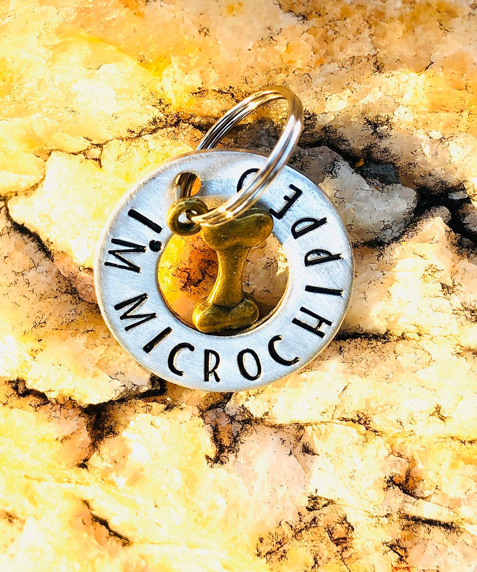 Thumbnail: I'm Microchipped Washer Tag
