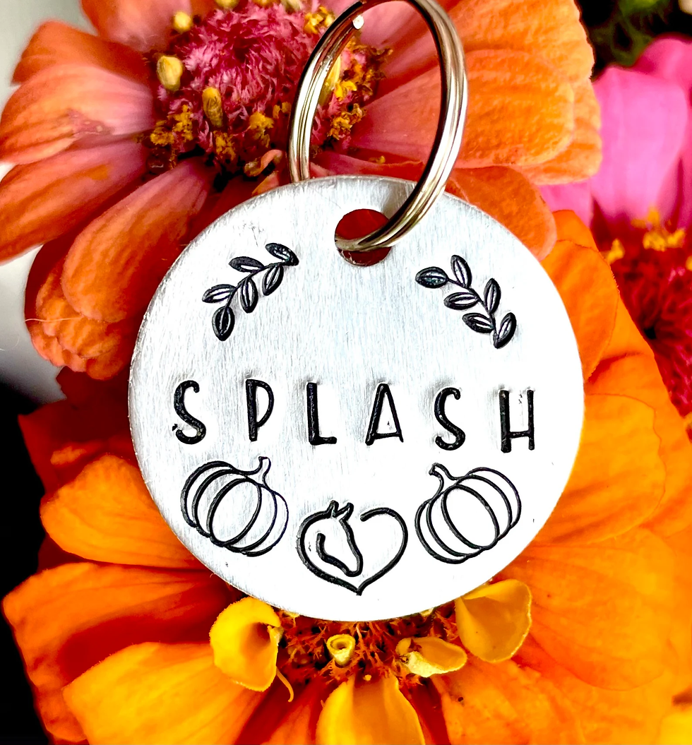 Thumbnail: Dog ID- Horse ID Name Tag-Horse ID Tag, Horse Bridle Tag, Hand Stamped Horse Tag