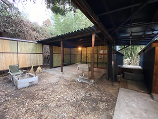 IMG_0694-Photoroom.png