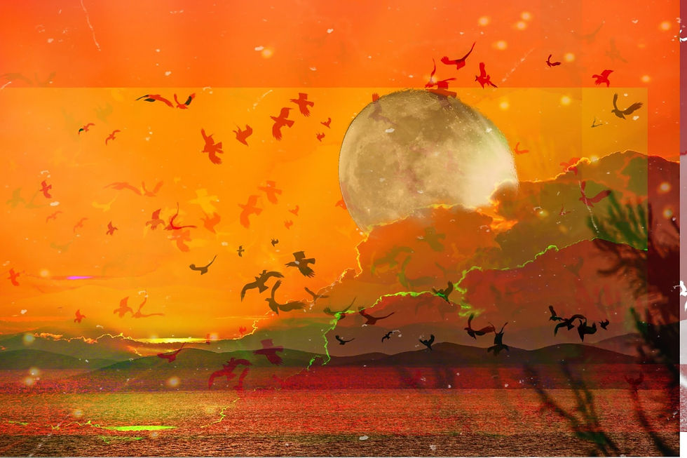 Moonrise