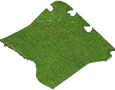 Flower farm.png