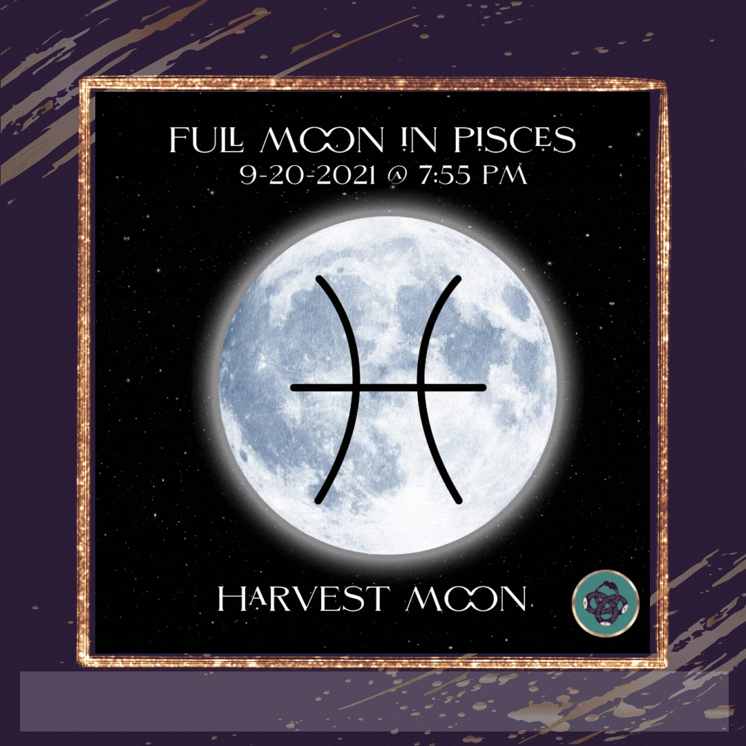 Pisces♓️ Harvest Full Moon🌕: Time To Reap Your Bounty🌾!
